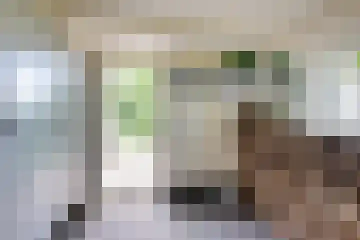 Bokkeleane 2 Oudega thumbnail 13