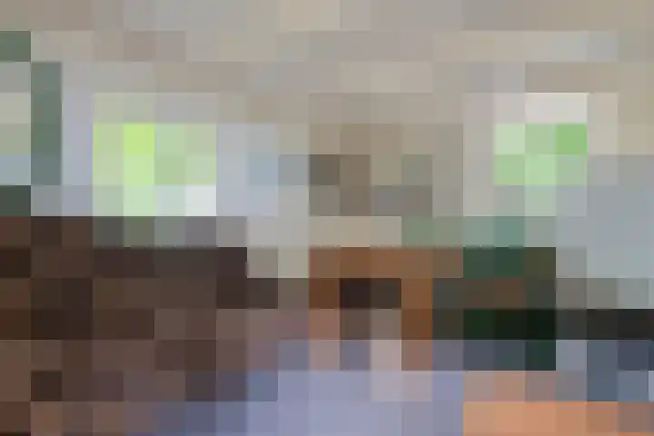 Bokkeleane 2 Oudega thumbnail 14