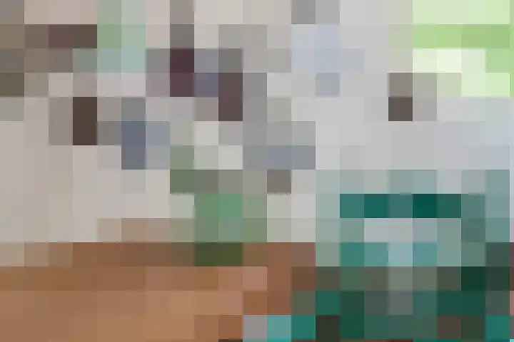 Bokkeleane 2 Oudega thumbnail 15