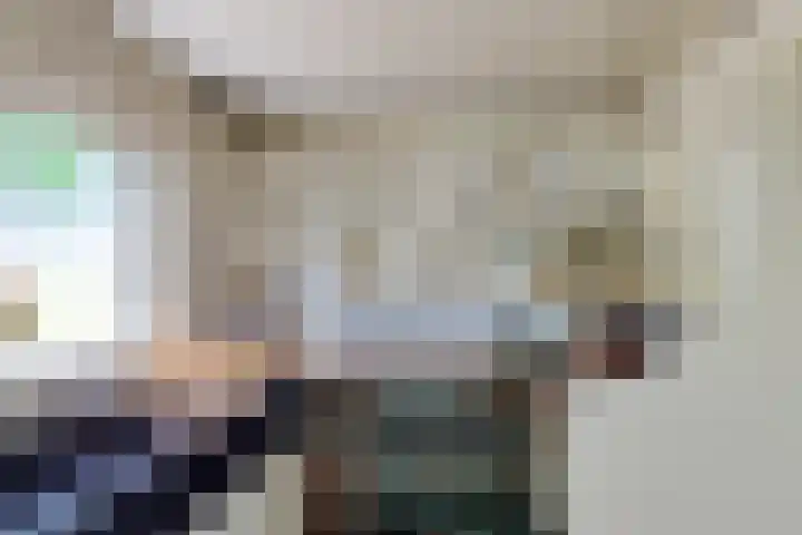 Bokkeleane 2 Oudega thumbnail 16