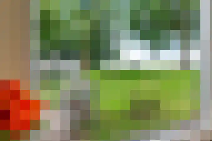 Bokkeleane 2 Oudega thumbnail 18