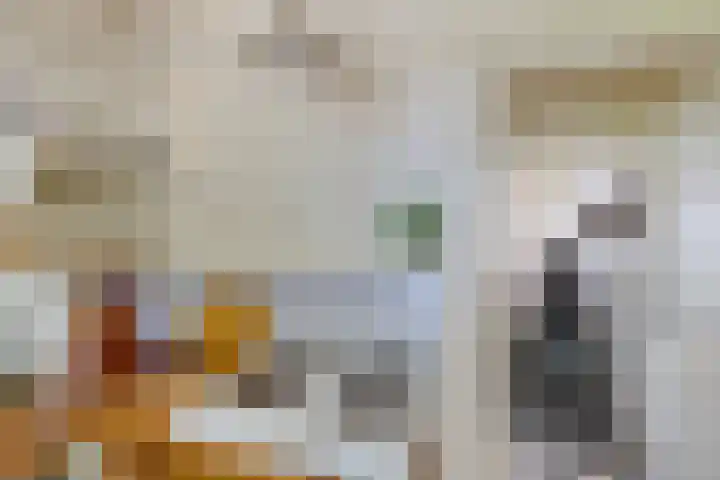 Bokkeleane 2 Oudega thumbnail 19