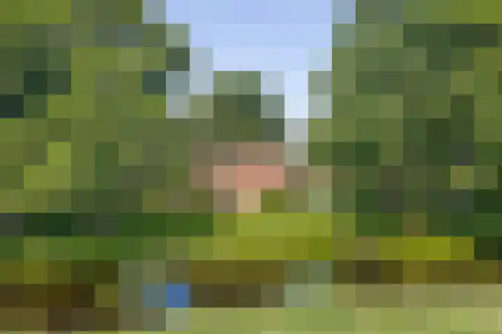 Bokkeleane 2 Oudega foto 2