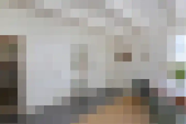 Bokkeleane 2 Oudega thumbnail 21