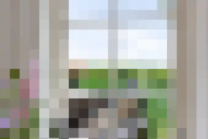 Bokkeleane 2 Oudega thumbnail 22