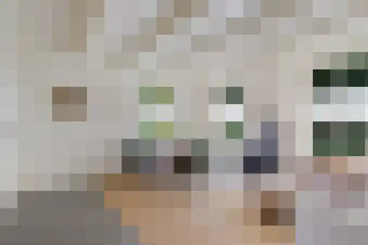 Bokkeleane 2 Oudega thumbnail 23