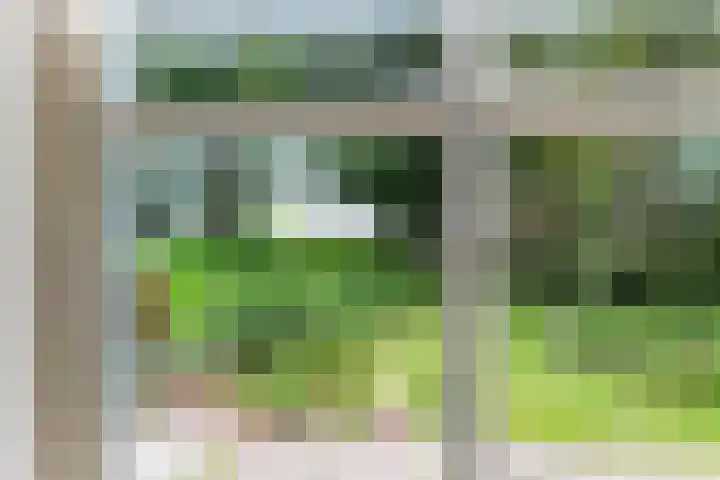 Bokkeleane 2 Oudega thumbnail 24