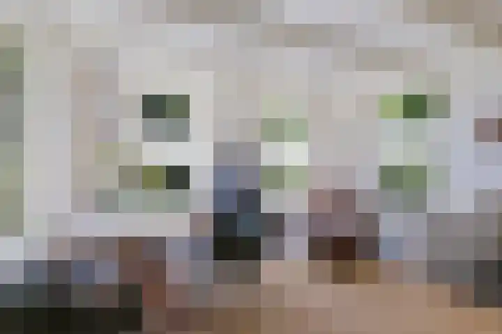 Bokkeleane 2 Oudega thumbnail 25