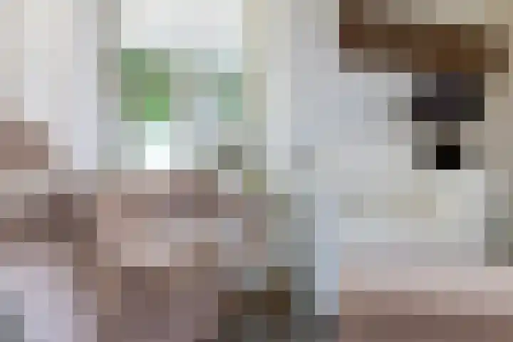 Bokkeleane 2 Oudega thumbnail 26