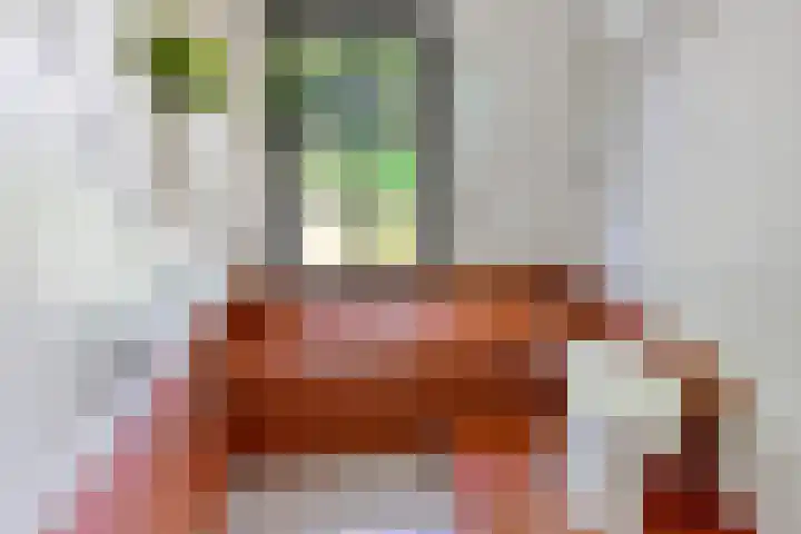 Bokkeleane 2 Oudega thumbnail 29