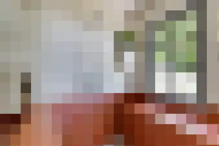 Bokkeleane 2 Oudega thumbnail 30