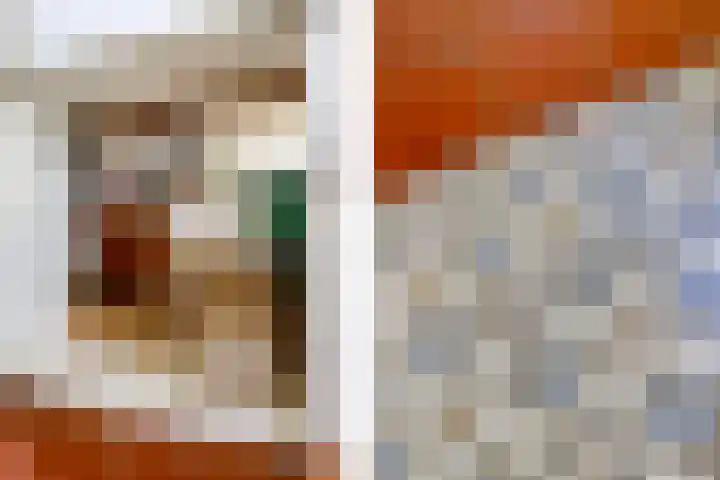 Bokkeleane 2 Oudega thumbnail 32
