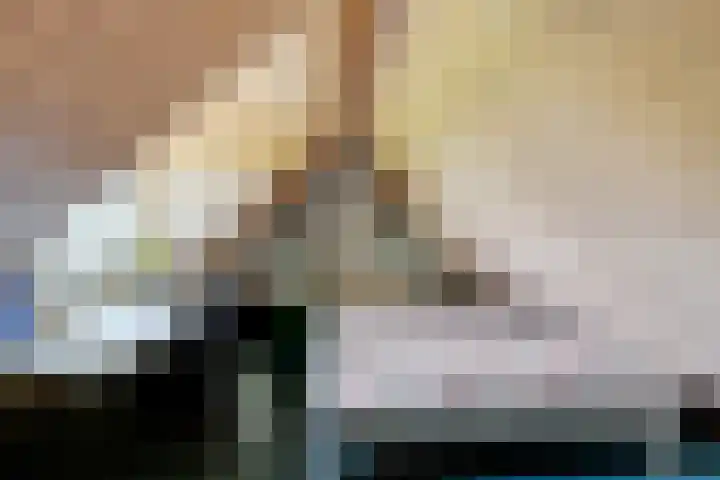 Bokkeleane 2 Oudega thumbnail 33