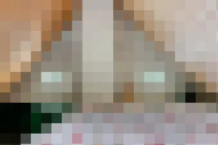 Bokkeleane 2 Oudega thumbnail 34