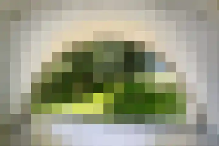 Bokkeleane 2 Oudega thumbnail 38