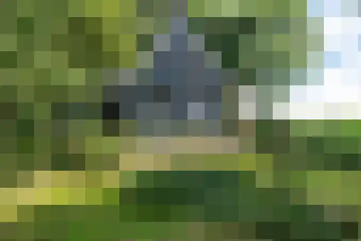 Bokkeleane 2 Oudega thumbnail 39