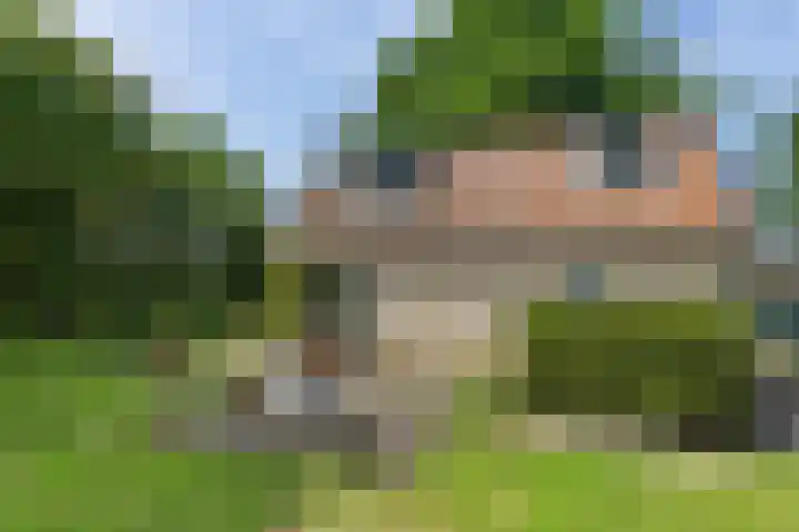 Bokkeleane 2 Oudega thumbnail 41
