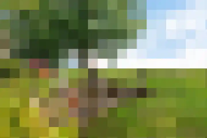 Bokkeleane 2 Oudega thumbnail 42