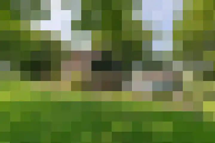 Bokkeleane 2 Oudega thumbnail 43