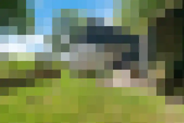 Bokkeleane 2 Oudega thumbnail 44