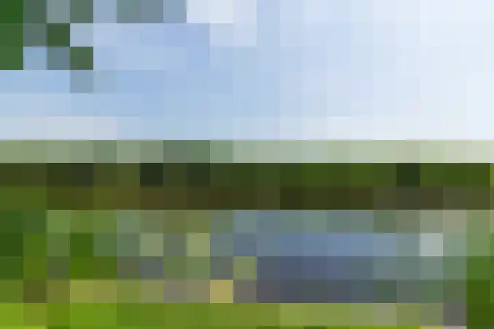 Bokkeleane 2 Oudega thumbnail 46