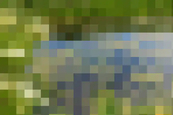 Bokkeleane 2 Oudega thumbnail 47