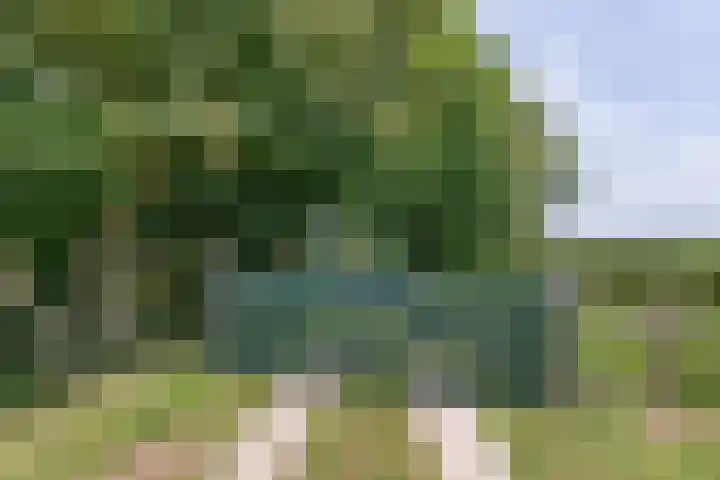 Bokkeleane 2 Oudega thumbnail 48