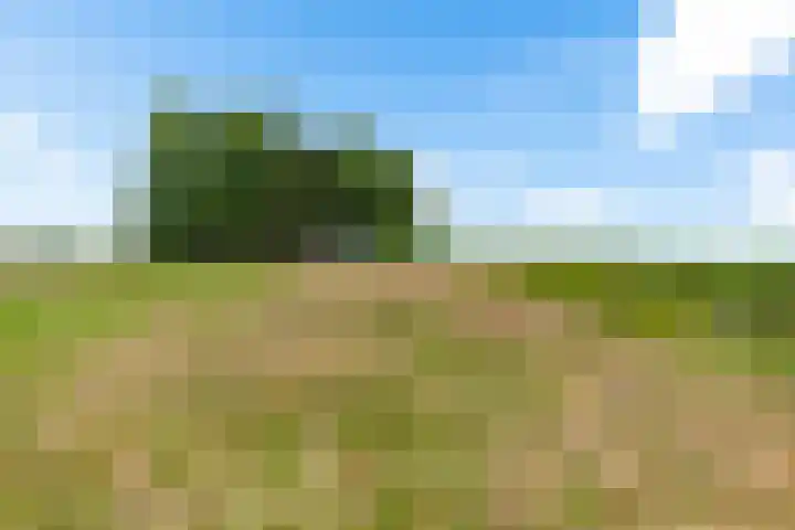 Bokkeleane 2 Oudega thumbnail 49