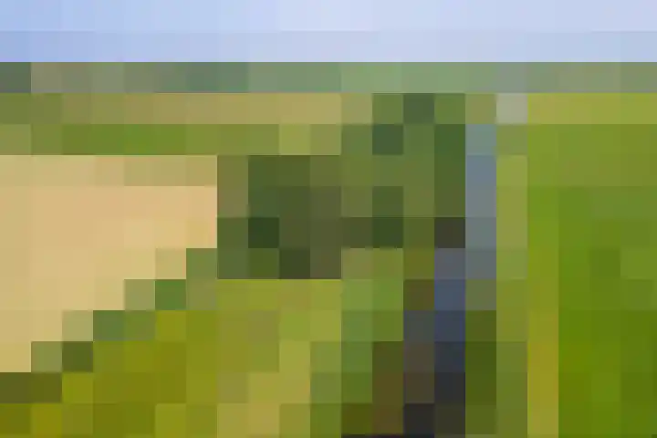 Bokkeleane 2 Oudega thumbnail 51