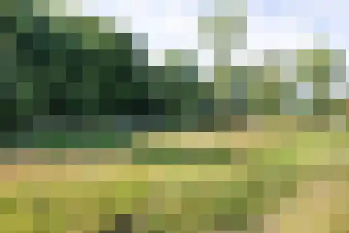 Bokkeleane 2 Oudega thumbnail 58