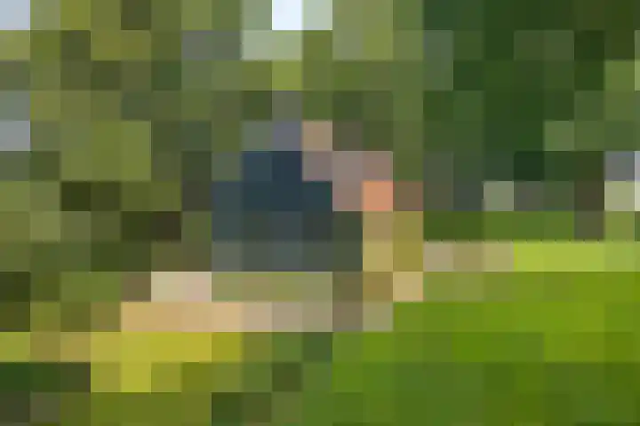 Bokkeleane 2 Oudega thumbnail 61