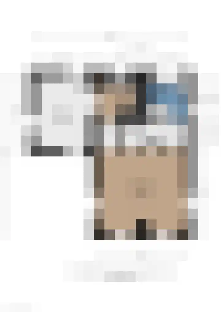 Bokkeleane 2 Oudega thumbnail 62