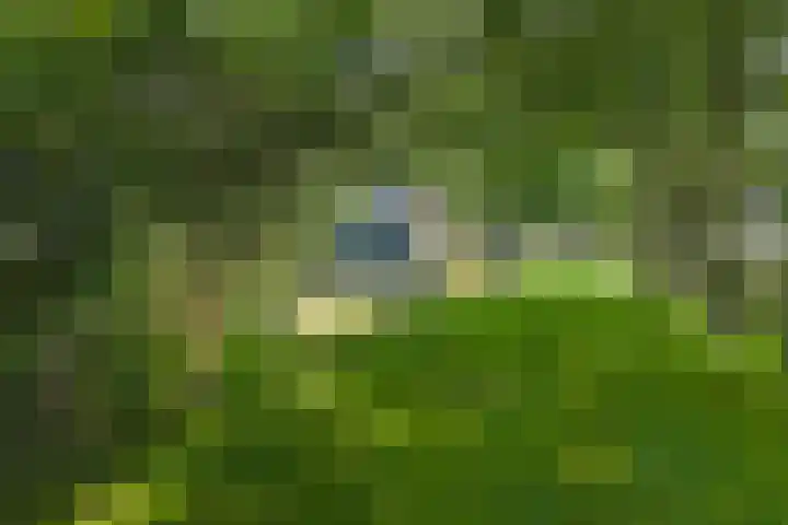Bokkeleane 2 Oudega thumbnail 8