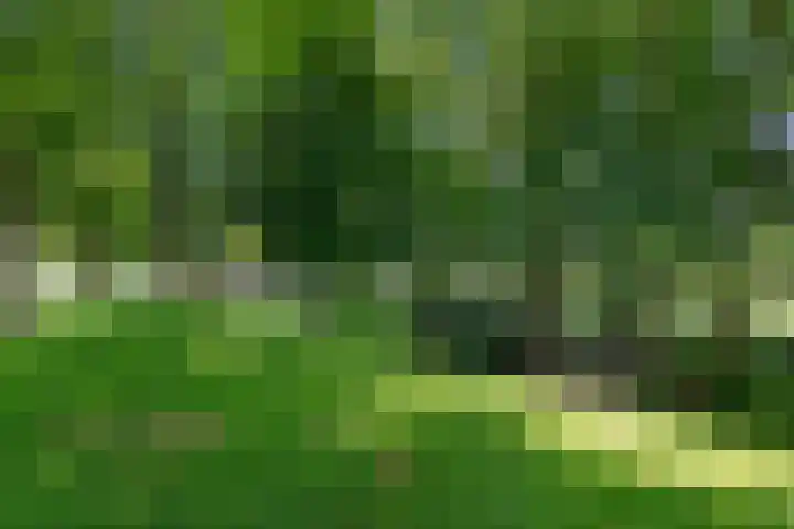 Bokkeleane 2 Oudega thumbnail 9