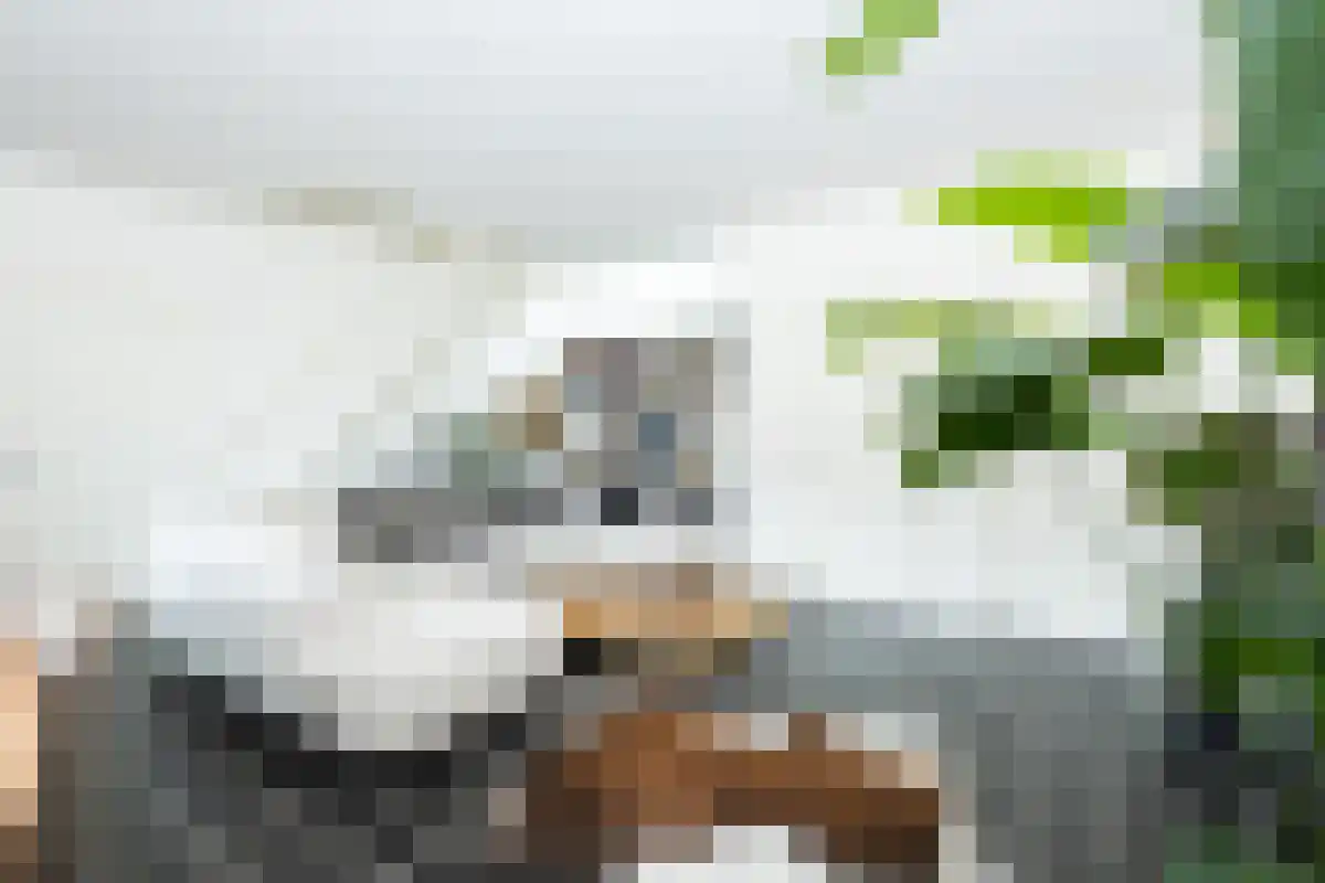 Bokkelerweg 2 Wesepe thumbnail 4