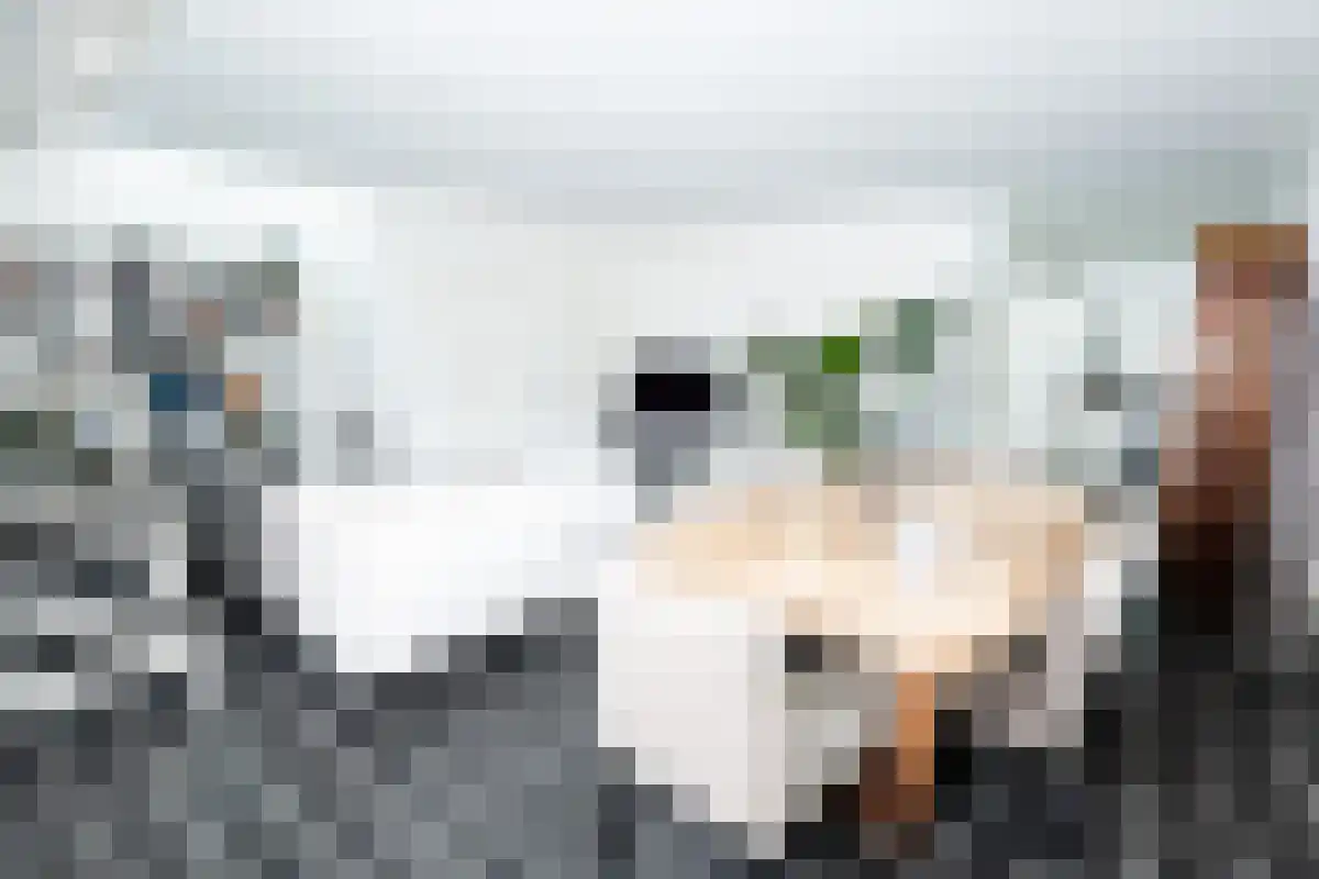 Bokkelerweg 2 Wesepe thumbnail 5
