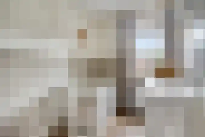 Bokkerijershof 10 Beers NB thumbnail 26