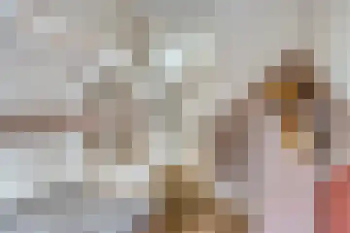 Bokkerijershof 10 Beers NB thumbnail 29