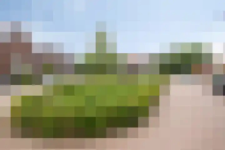 Bokkerijershof 10 Beers NB thumbnail 40