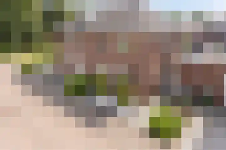 Bokkerijershof 10 Beers NB thumbnail 5