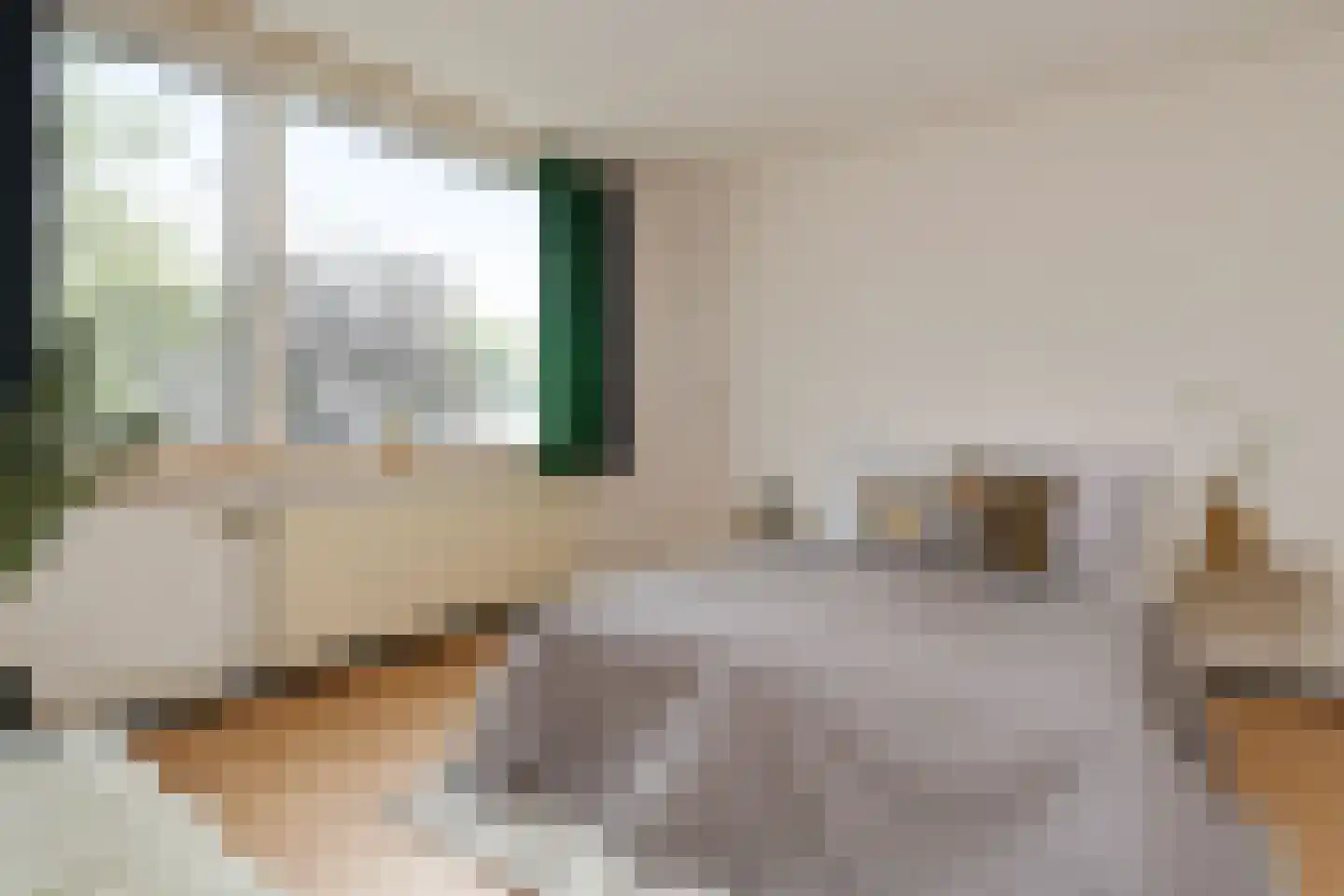 Bokrijkstraat 1 Eindhoven thumbnail 21