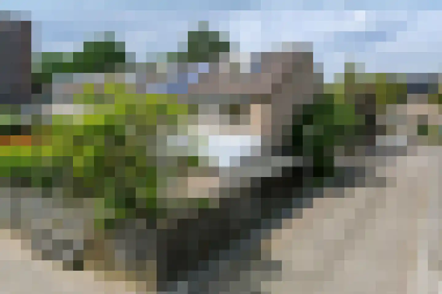 Bokrijkstraat 1 Eindhoven thumbnail 34