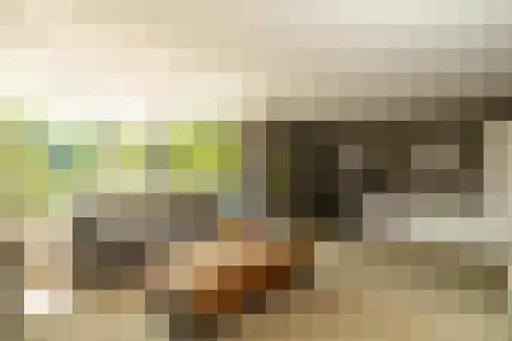Boksbergenlaan 5 Den Haag thumbnail 10