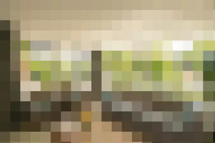 Boksbergenlaan 5 Den Haag thumbnail 12