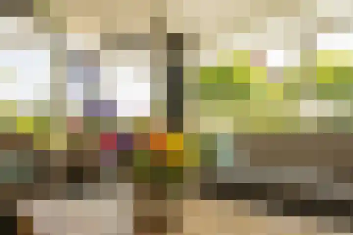 Boksbergenlaan 5 Den Haag thumbnail 13