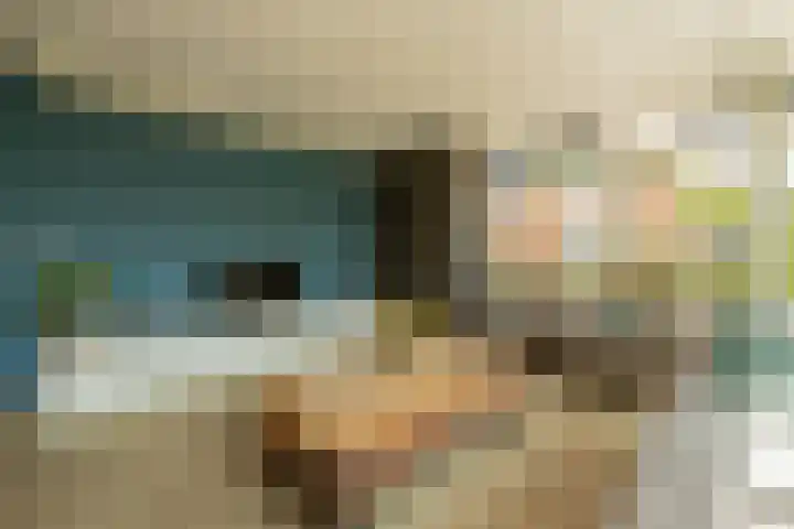 Boksbergenlaan 5 Den Haag thumbnail 14