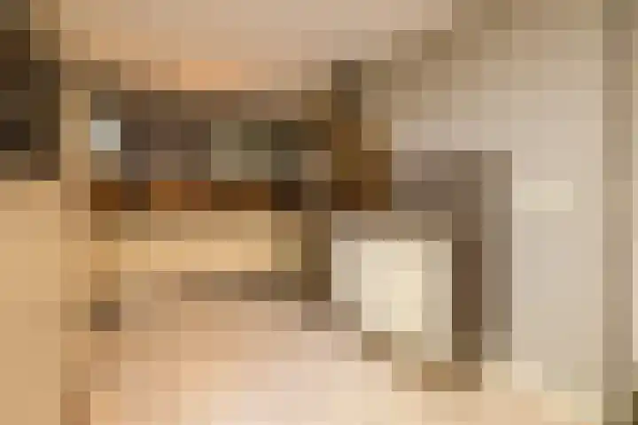 Boksbergenlaan 5 Den Haag thumbnail 18