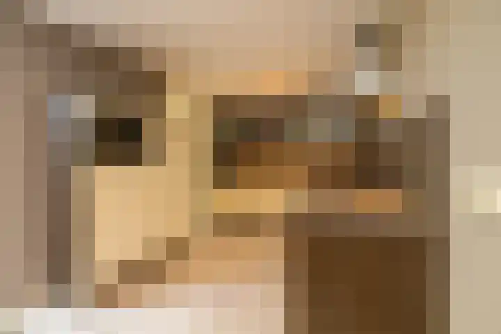 Boksbergenlaan 5 Den Haag thumbnail 19