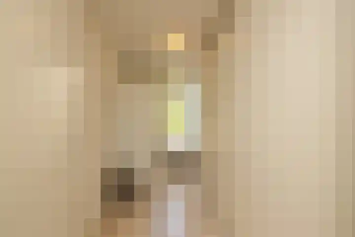 Boksbergenlaan 5 Den Haag thumbnail 22