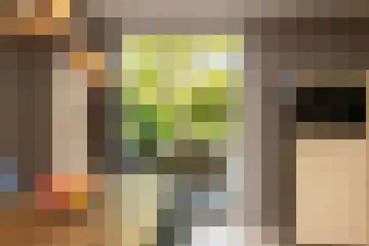 Boksbergenlaan 5 Den Haag thumbnail 23